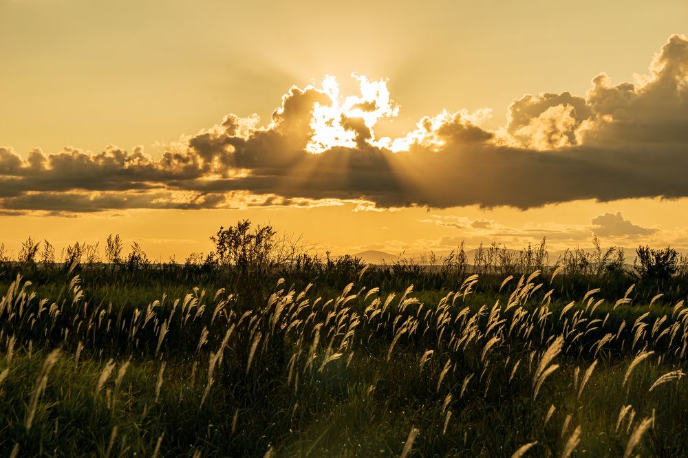 Photograph by Irina Luidinshina