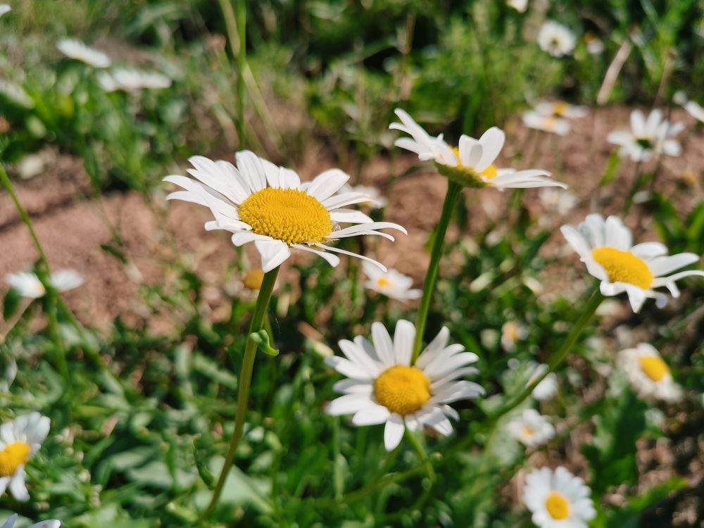 Photograph by Калинина Анастасия