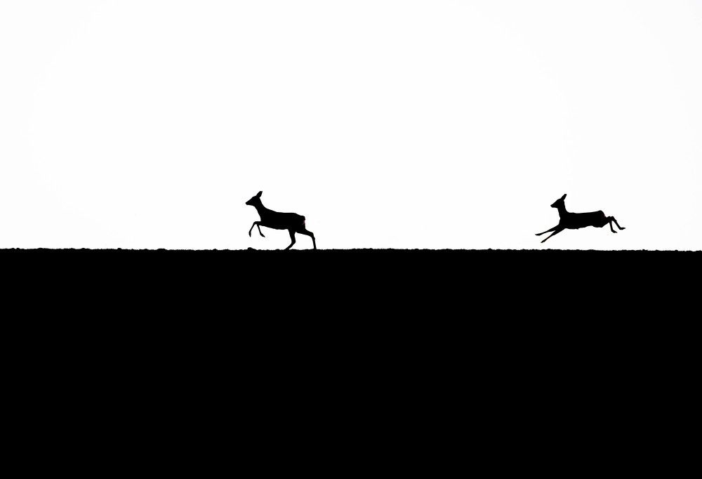 Photograph by Sebastian Popa