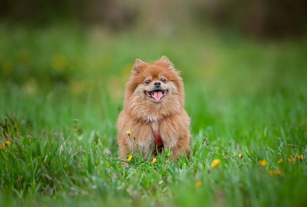 Photograph by Анна Фирсова