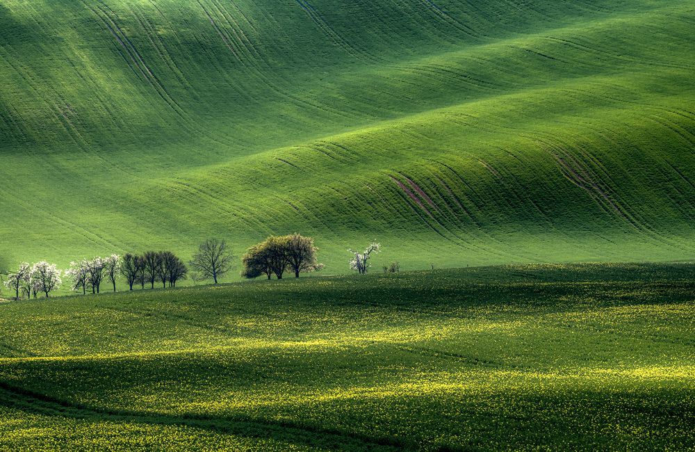 Photograph by ПАВЕЛ