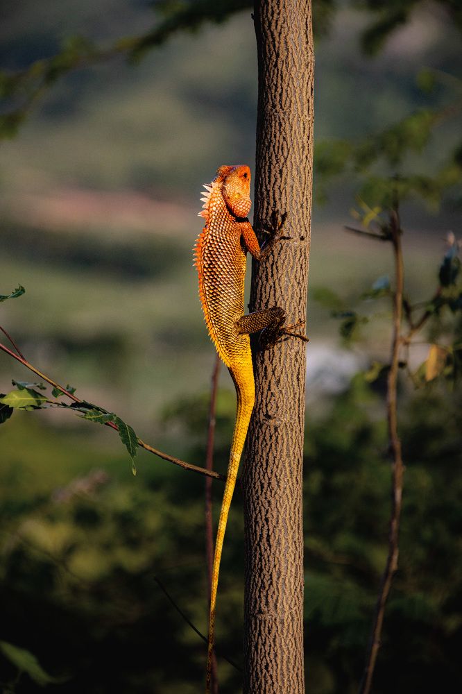 Photograph by Krish Bagri