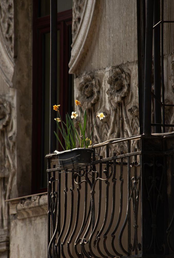 Photograph by David Kapanadze