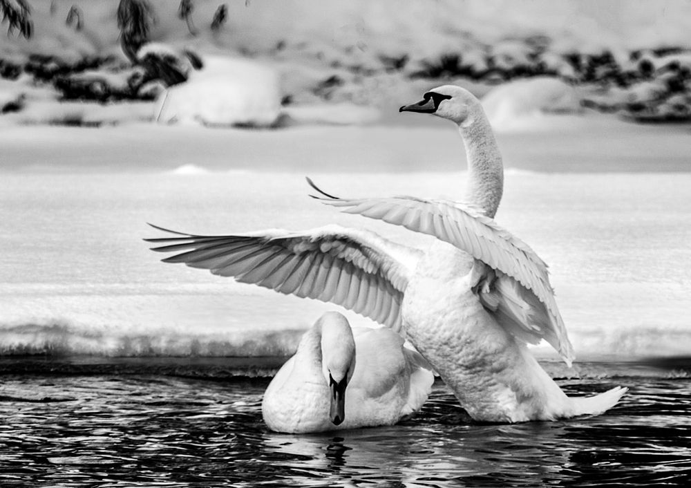 Photograph by Сергей Степанов