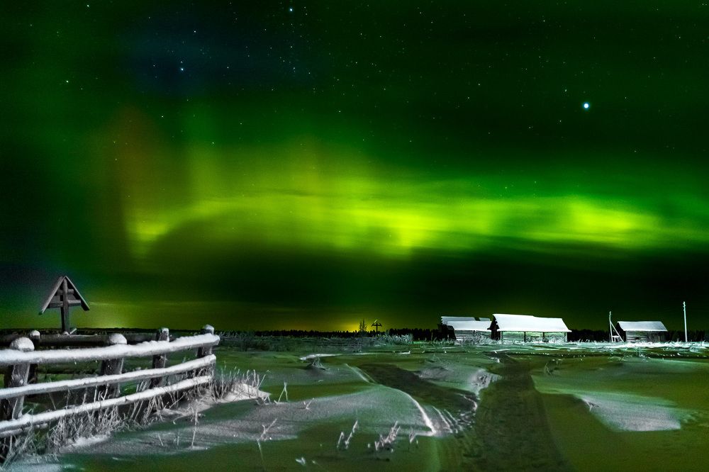 Photograph by алия евдокимова