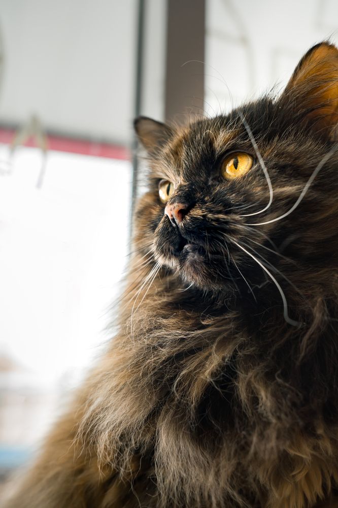 Photograph by Алексей Еремеев