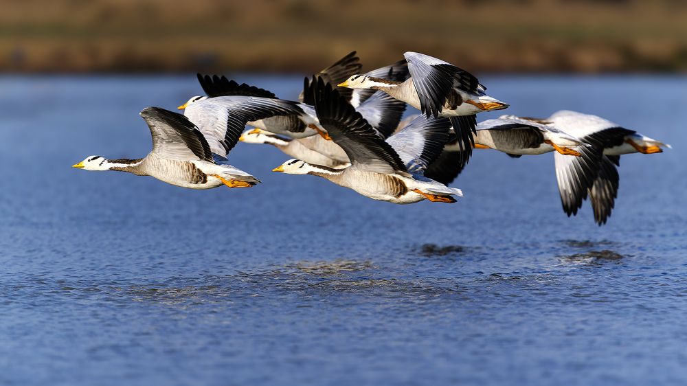 Photograph by Samir Sachdeva