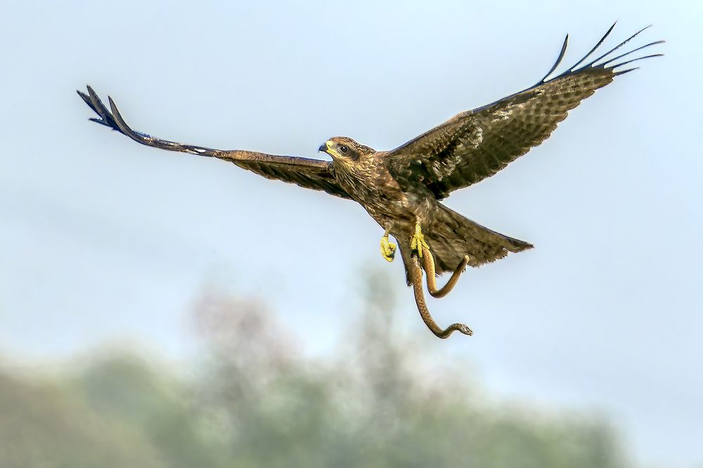 Photograph by Samir Sachdeva