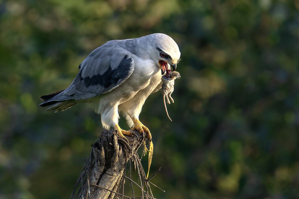 Photograph by Samir Sachdeva