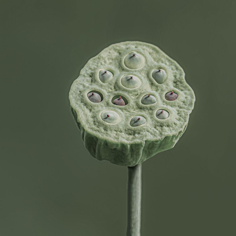 Photograph by Анжелика Титова