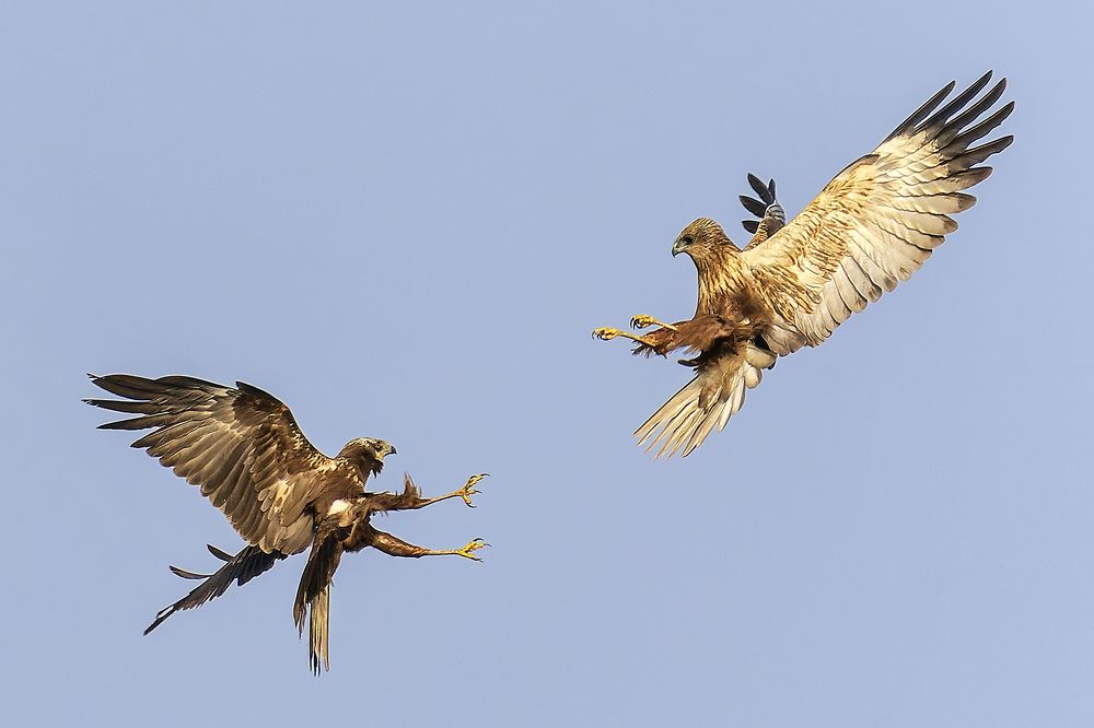 Photograph by Samir Sachdeva