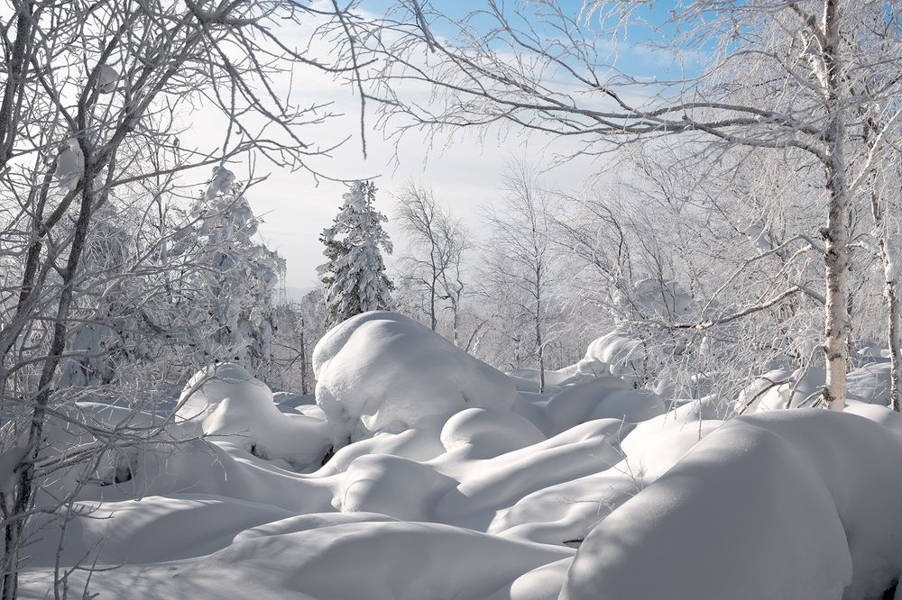 Мороз и солнце