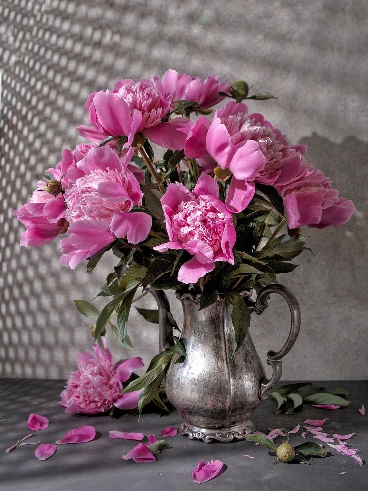 Photograph by Елена Бородина