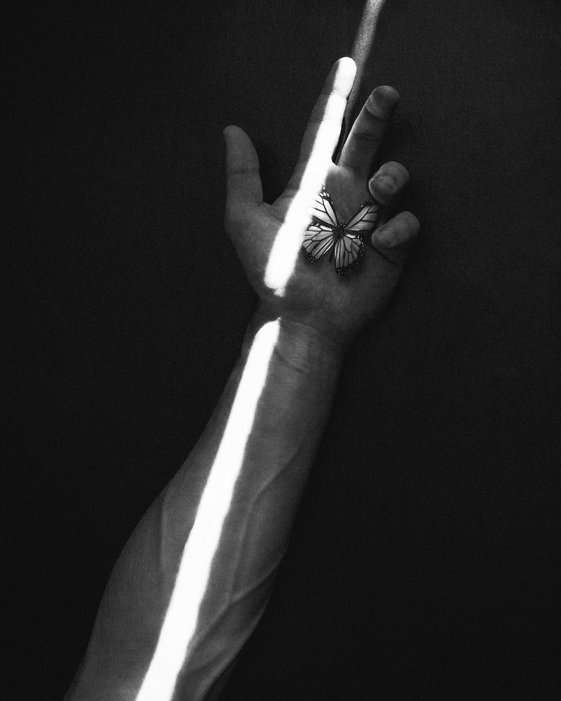 Фотография автора Ondřej Zemenčík