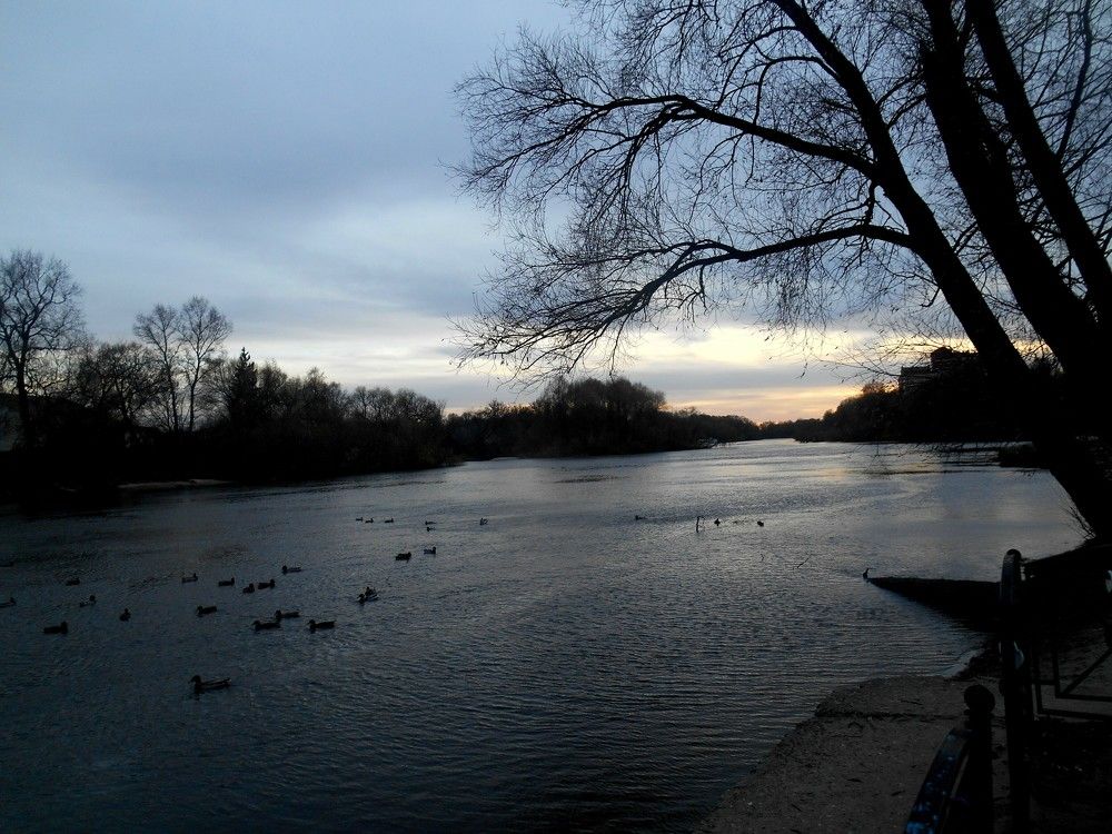 Photograph by Anyamaly