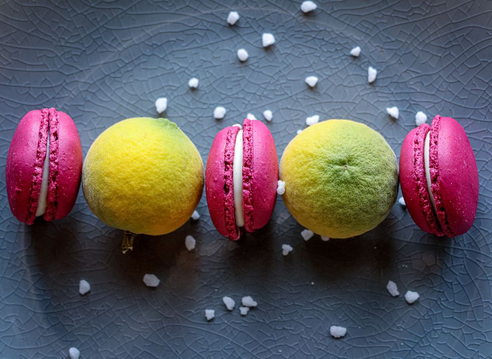 Photograph by Eva Wiedemann