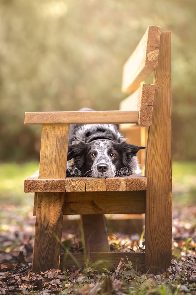 Photograph by Leticia Hernandez