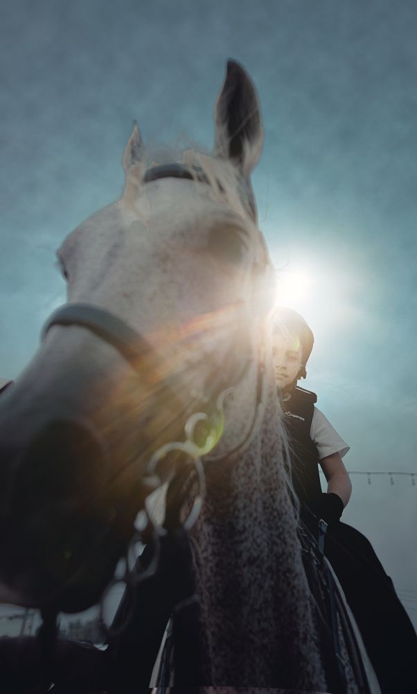 Photograph by Umer's Photo