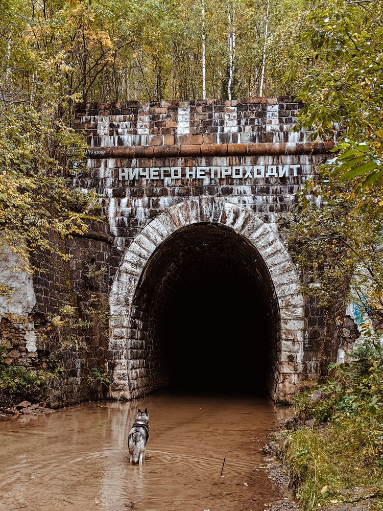 Photograph by Мария Чунтонова