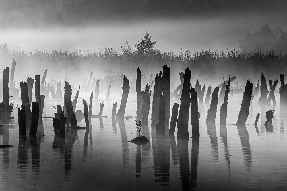 Утренние переливы теней