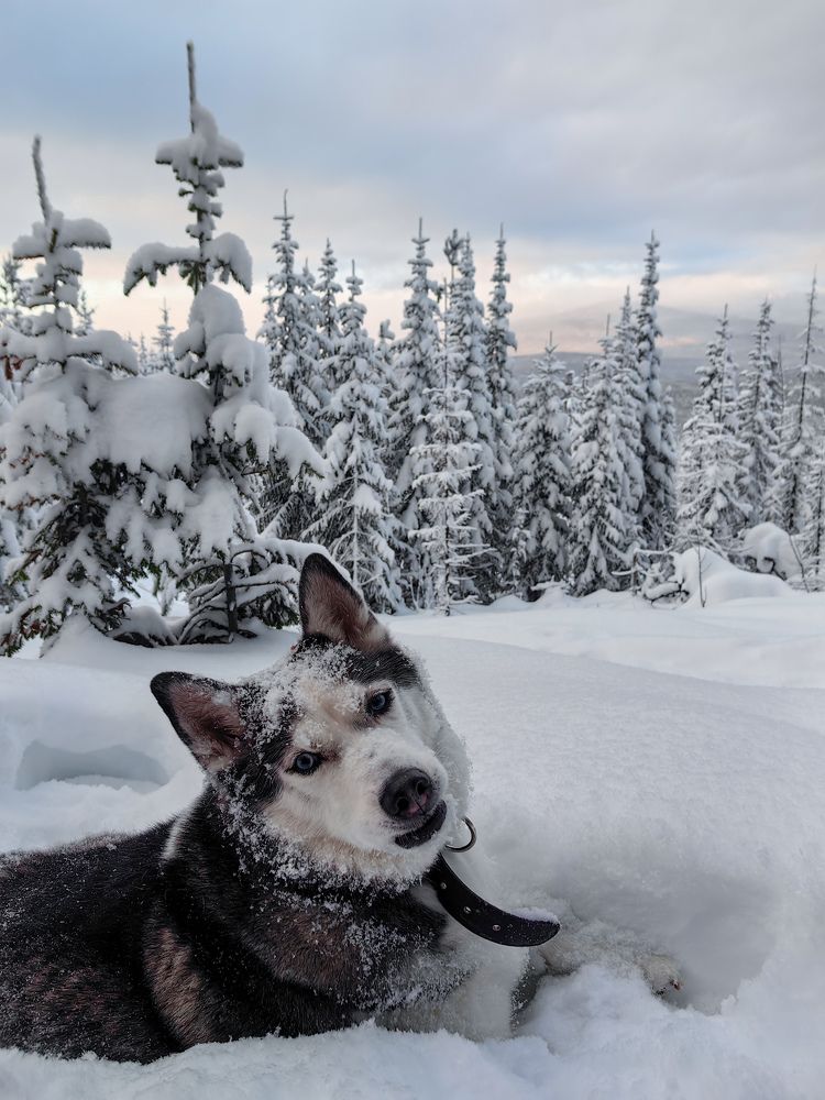 Photograph by Мария Чунтонова