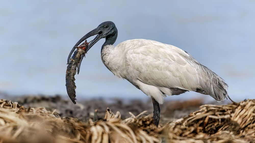 Photograph by Samir Sachdeva