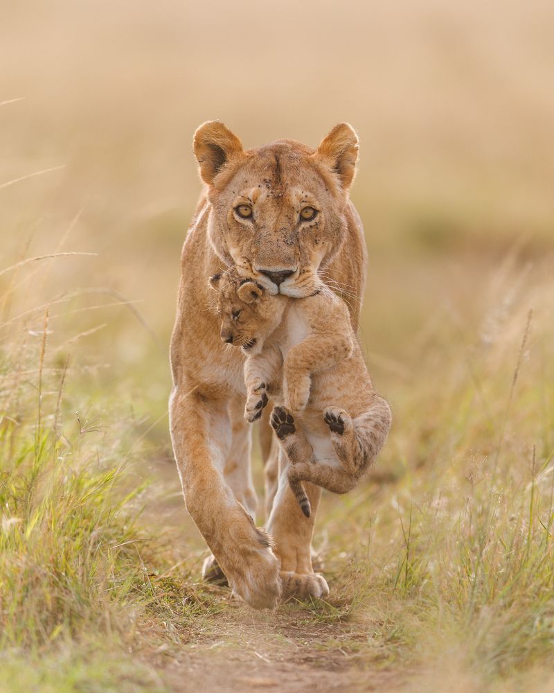 Photograph by Amir Khatri