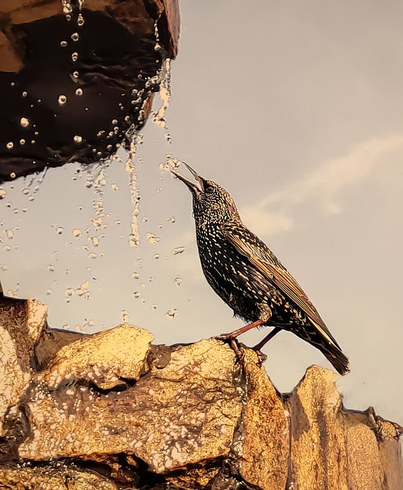 Photograph by Natalia Bolotenkova