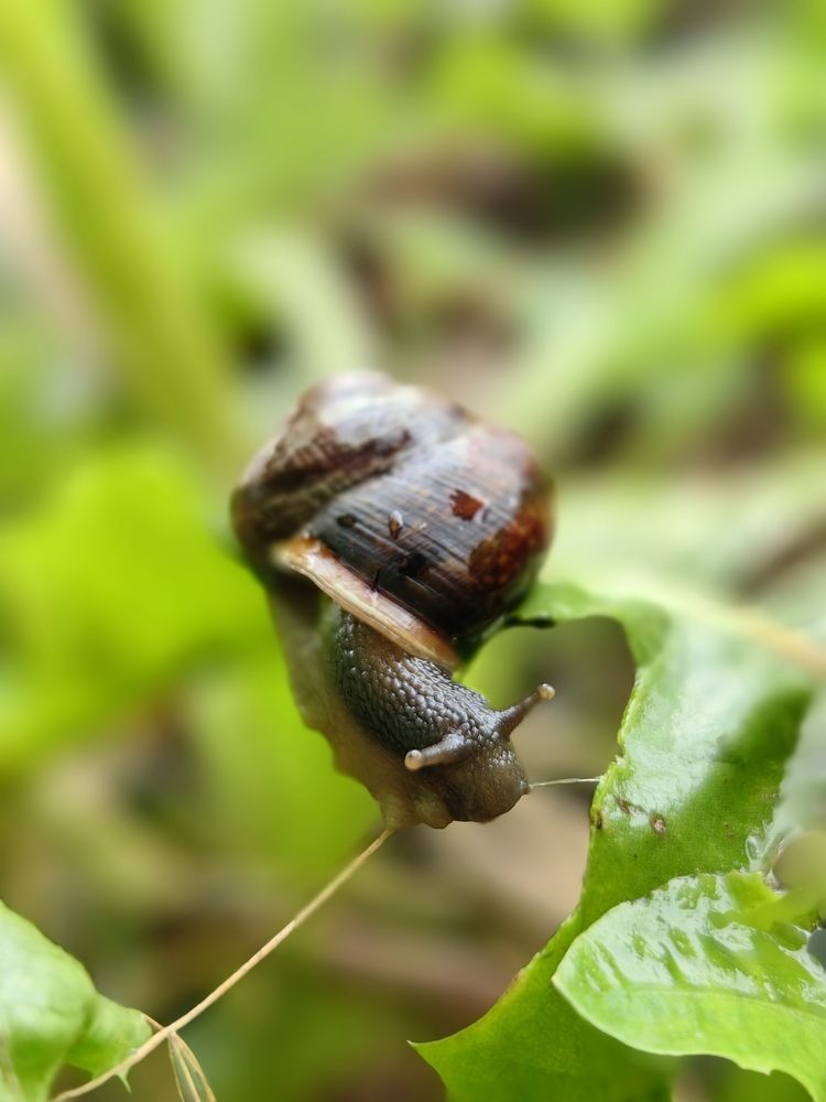Photograph by Ева Мельникова