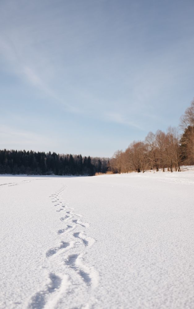 Photograph by Светлана