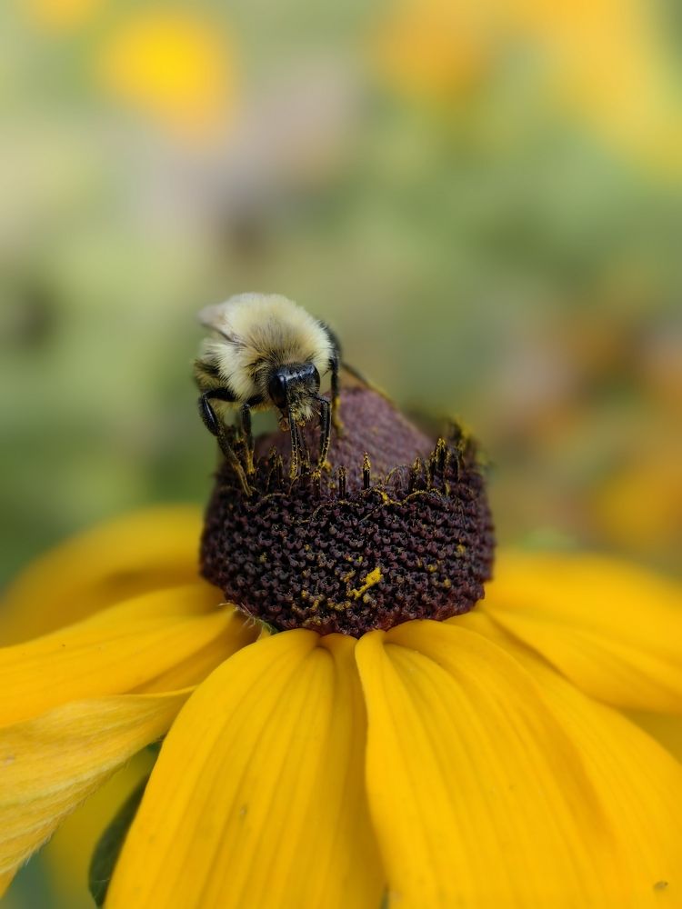 Photograph by Ева Мельникова