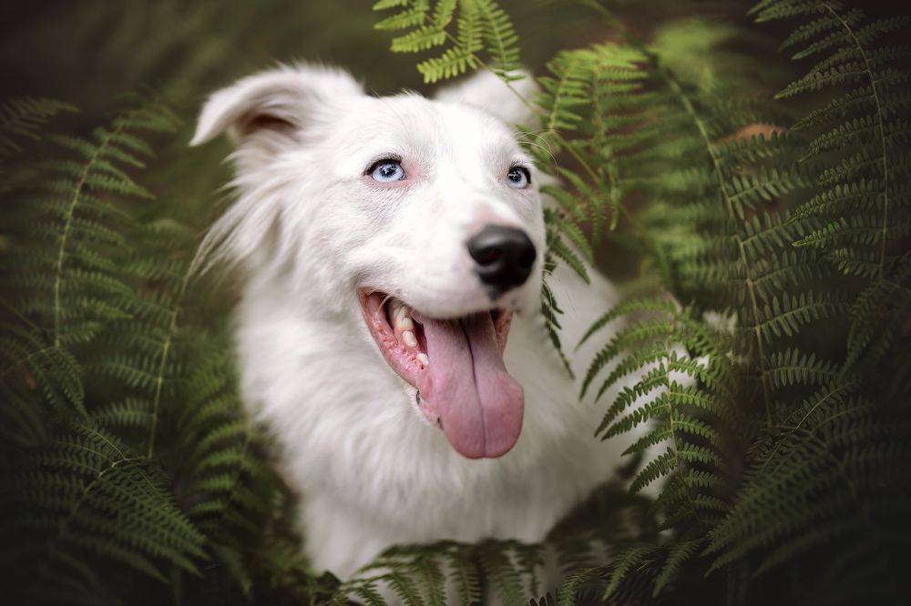 Photograph by Leticia Hernandez