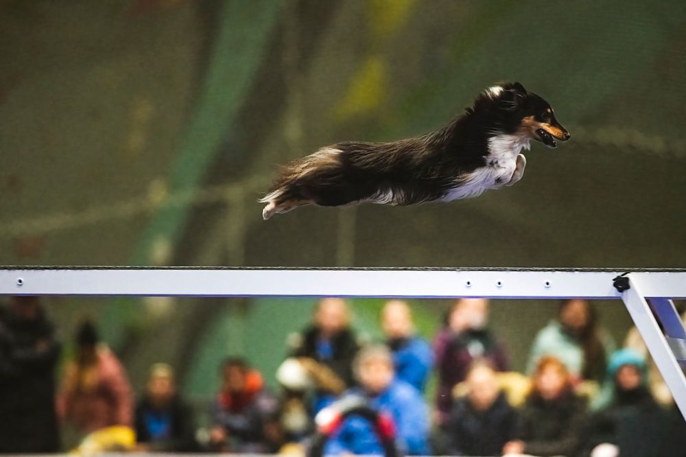 Photograph by Noa Táboas