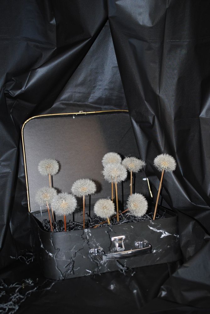 Воставшие из пепла