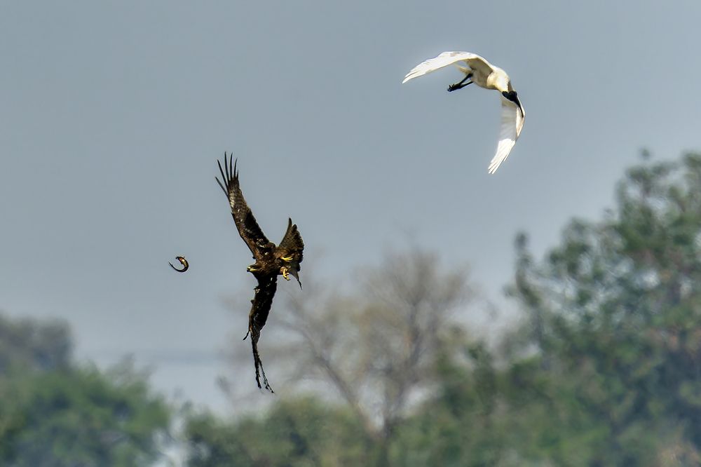 Photograph by Samir Sachdeva