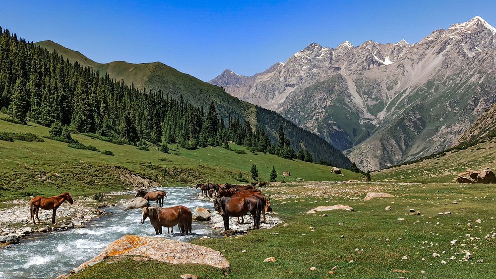 Photograph by Мария Чунтонова