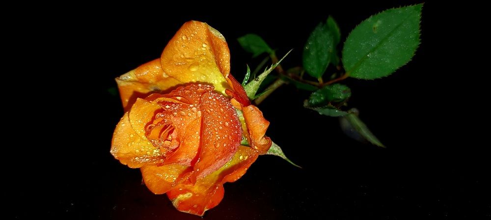 Фотография автора Можаев Сергей