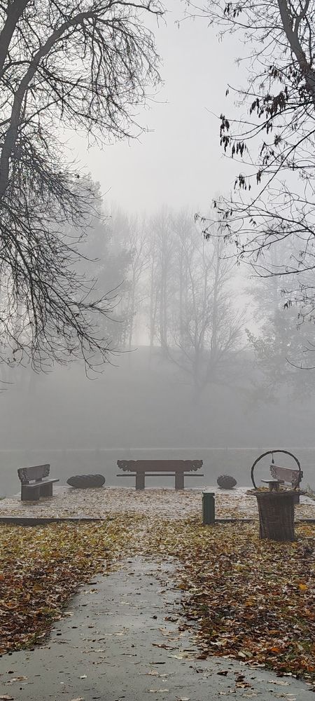 Photograph by Наталья Клячина