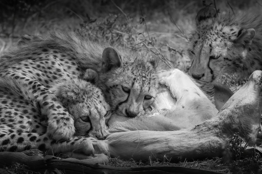 Holding Down the Competition!