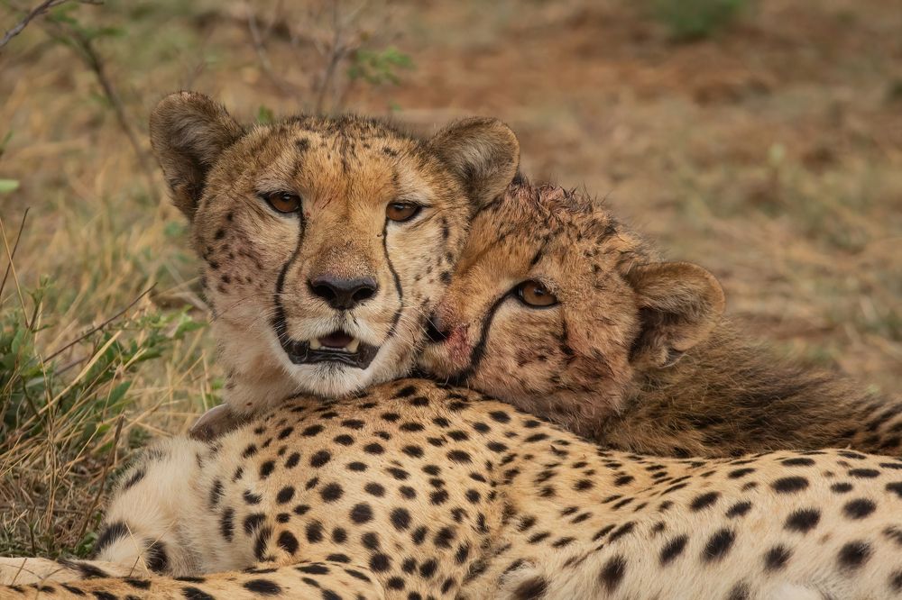 Photograph by Keith Carey