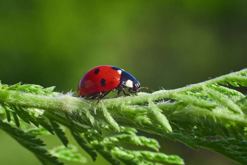 Photograph by Павел Сторчилов