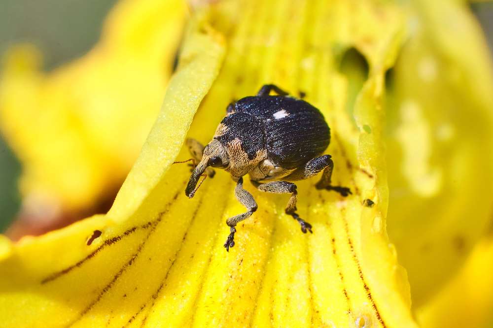 Photograph by Павел Сторчилов