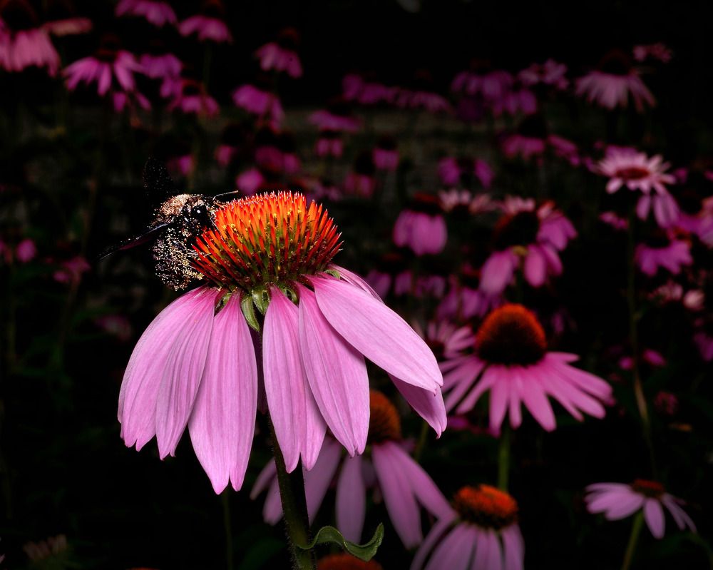 Photograph by Bekir Yesiltas