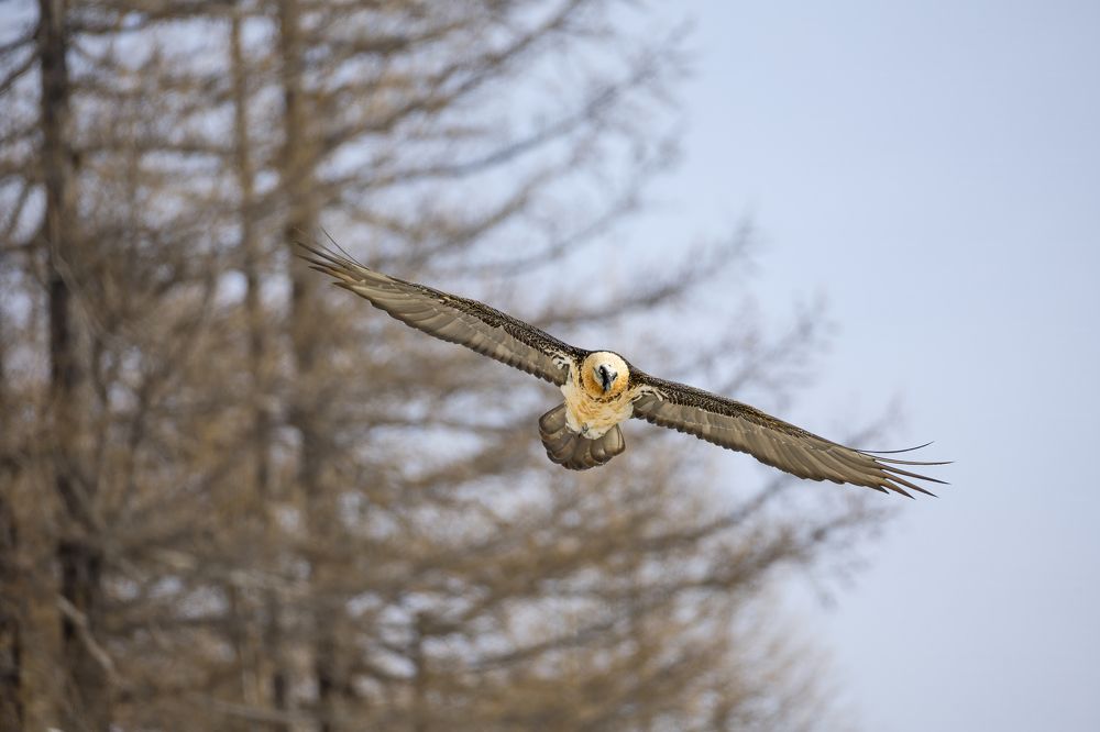 Photograph by Marco Rondi