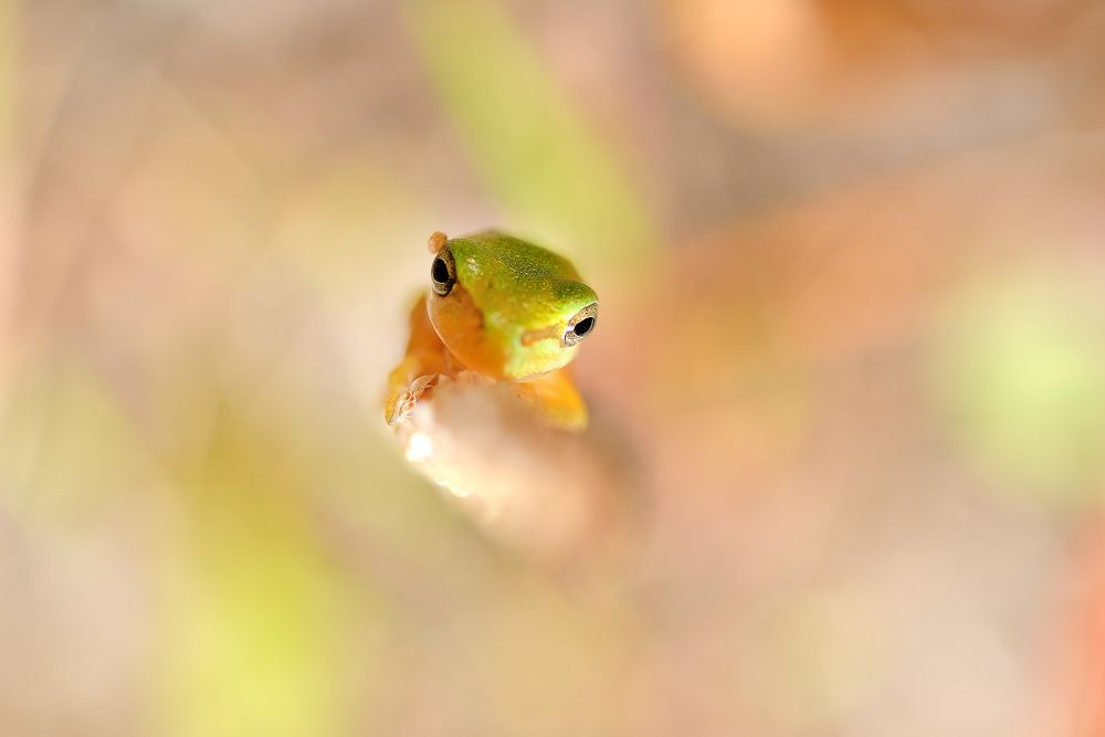 Photograph by Bekir Yesiltas