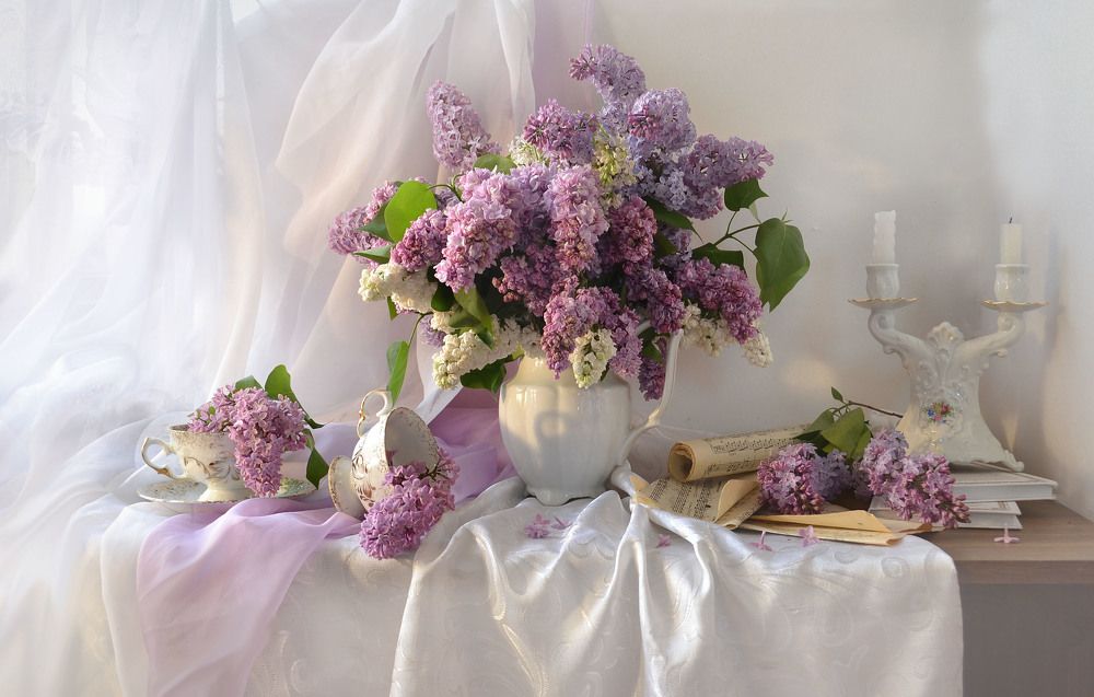 Photograph by Колова Валентина