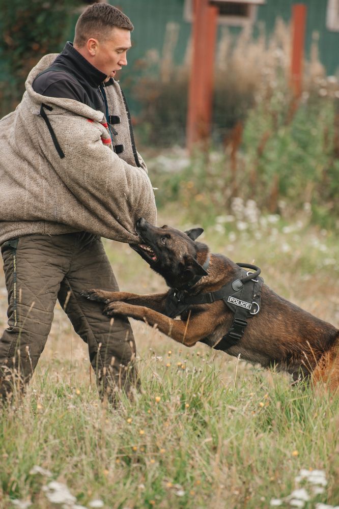 Photograph by Людмила Москвичёва