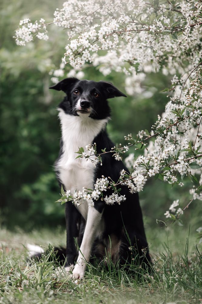 Photograph by Светлана Степашина