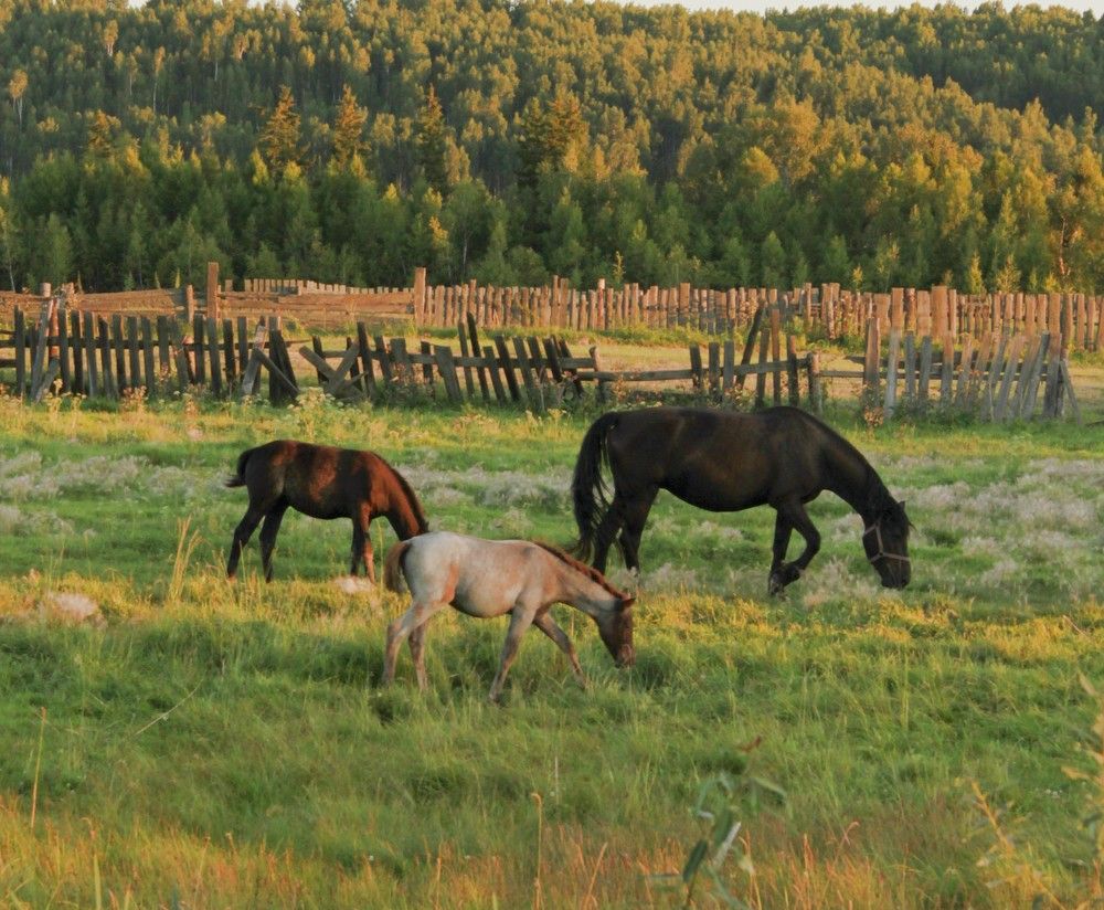 Photograph by ольга пивоварова