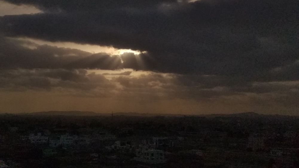 Photo #10346382